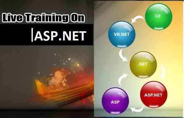 asp dot net training